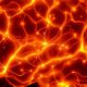 gratitude rewires brain pathways