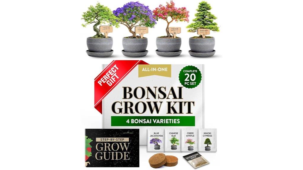 beginner bonsai tree kit