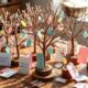 top wishing tree craft kits