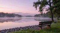 calm environments enhance decisions