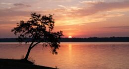 desire for resolution and completeness