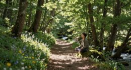 embrace silence for wellness