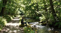 mindfulness enhances clear thinking