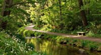 simplify clarify focus thrive