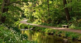 simplify clarify focus thrive