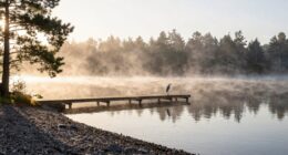 value of inner reflection